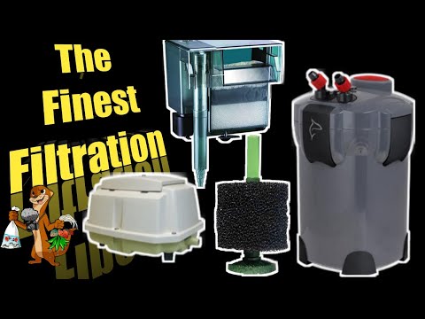 Fish Room Filtration | The Most Efficient and Effe Fish Room Filtration | The Most Efficient and Effective Way 

In this video I talk about my new and 