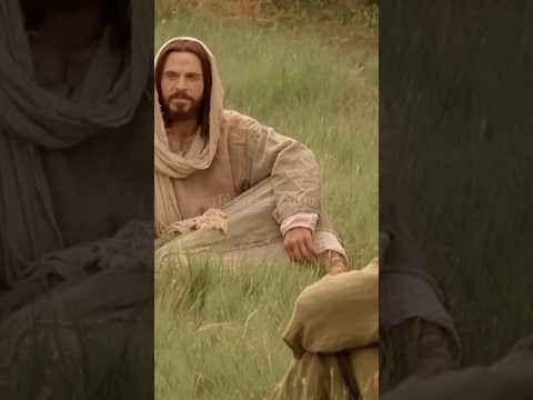 Jesús: ¿Quién es el Hijo del Hombre? #Shorts #lavidadejesus