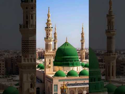 #rozarasool #beautiful ❤️❤️😘🥰❤️🥰🥀