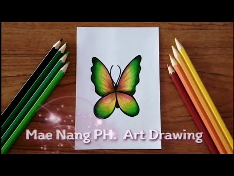 Mae Nang PH. Art Drawing Drawingabeautifulbutterflywithcoloredpencils