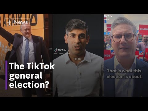 Are TikTok political campaigns winning over the youth?