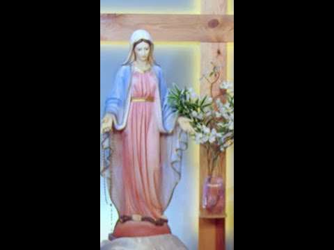 Viens Esprit Saint, viens,  par la puissante intercession du Coeur immaculé de Marie,