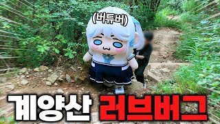러브버그 퇴치하러 직접 간 버튜버