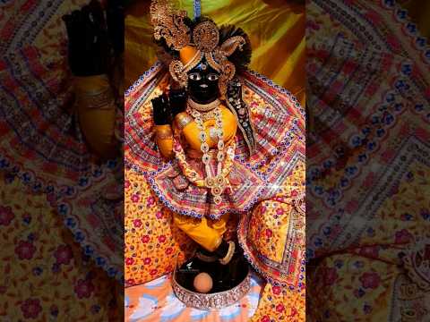 बोलो वृंदावन श्री बांकेबिहारी लाल की जय #bankebihari #virdavan #treanding #shorts