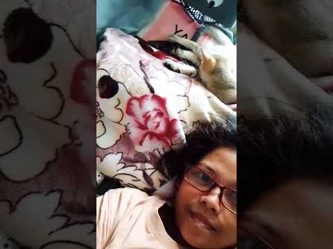 no more space for me. #cat #funny #memes #music #cute #catlovers #catvideos #kitten #cutememes #love