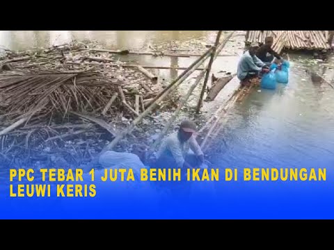 PPC TEBAR 1 JUTA BENIH IKAN DI BENDUNGAN LEUWI KERIS