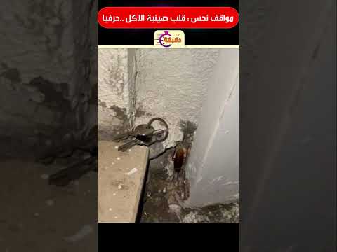 مواقف نحس : قلب صينية الاكل .. حرفيا