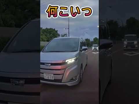 車線守れない奴・・#shorts #ドライブレコーダー #迷惑運転 #危険運転 #事故