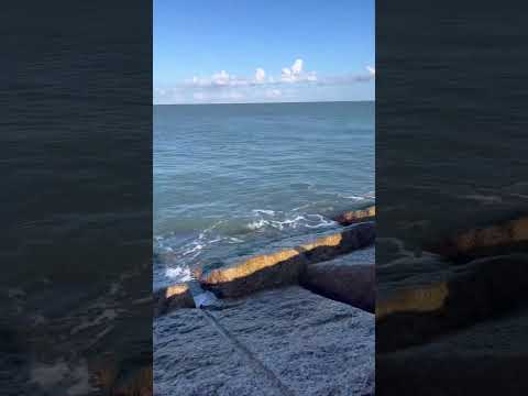 Always out and about