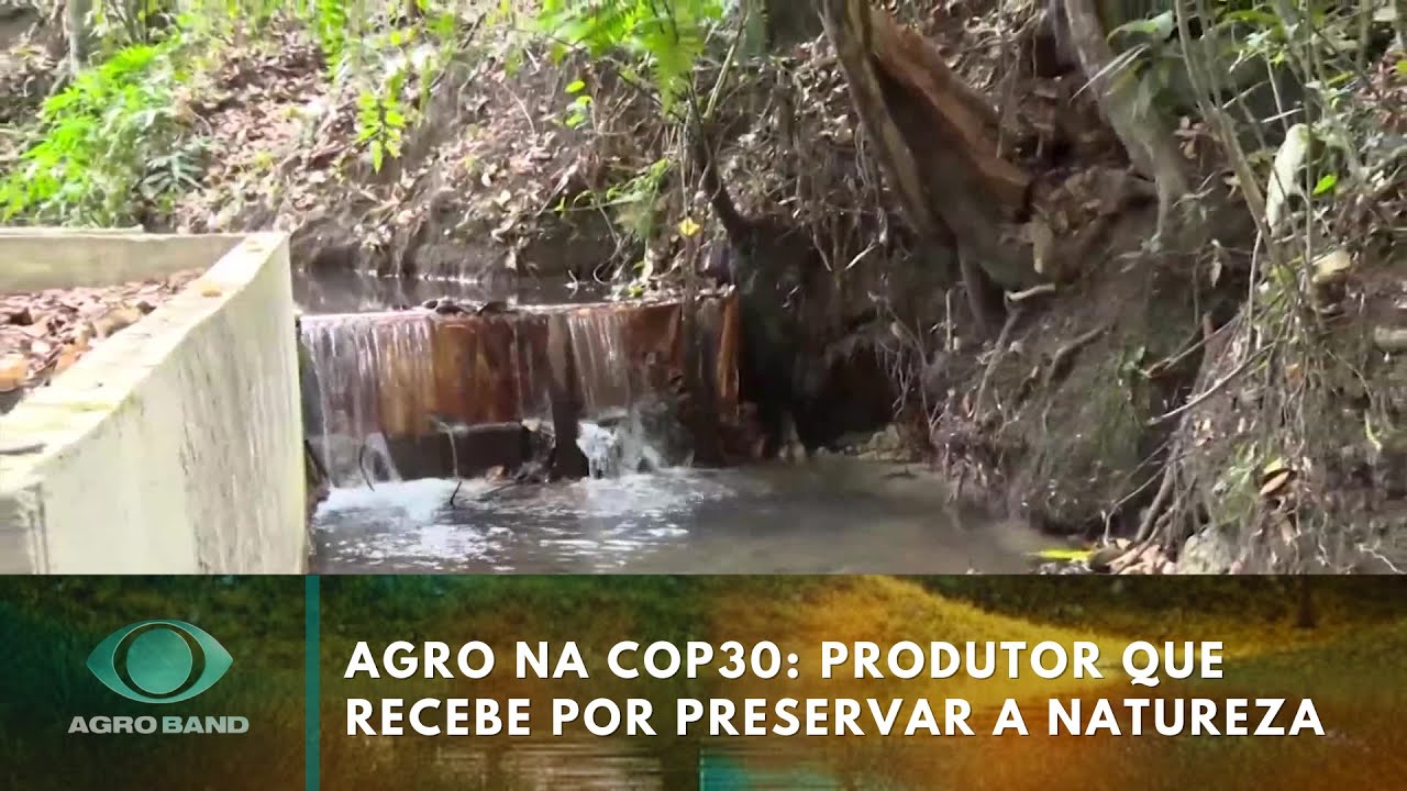 Agro na COP30 produtor que recebe por preservar a natureza TV Online Agro na COP30 produtor que recebe por preservar a natureza