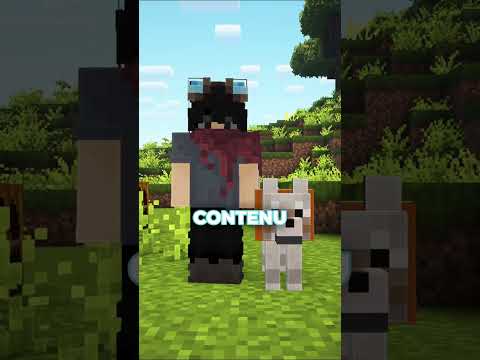 ⬆️ Rejoins le Discord en bio - Sur la majorité des serveurs minecraft les joueurs sont ignorés.