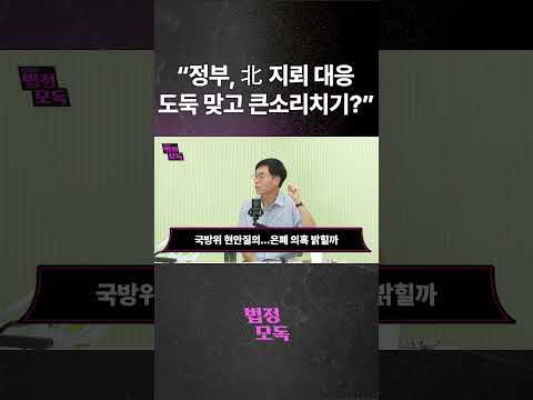 "정부, 北 지뢰 대응도둑 맞고 큰소리치기?"
