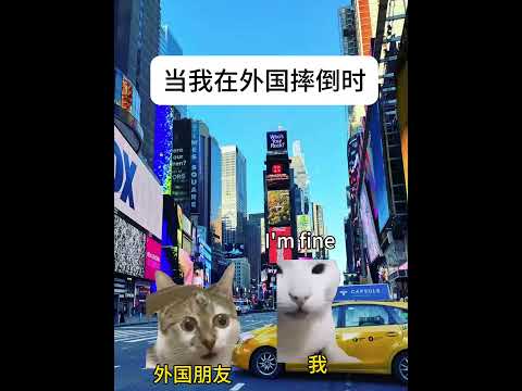 猫のミーム動画で笑おう！リアル日常とユーモア満載のコンテンツ サムネイル