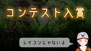 アクアフォレストさんのコンテスト