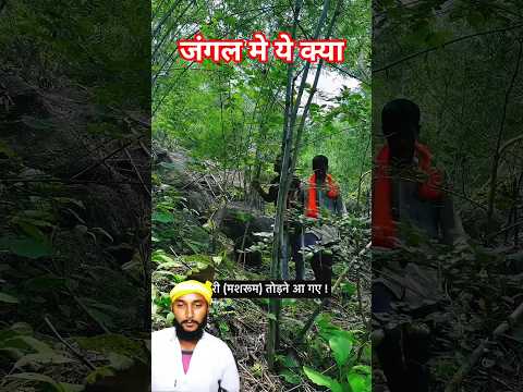 जंगल मे #comedy #funny #foryou #prakashchauhanreacts #ytshorts