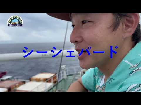 【小笠原諸島】ありがとう！感動のお別れ【藤田の休日SP⑧】