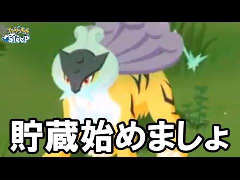 今週のリサーチは捨てた。【ポケモンスリープ】