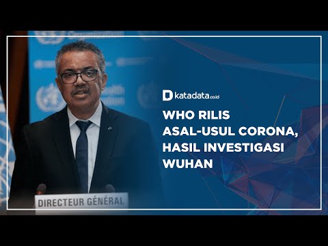 WHO Rilis Asal-Usul Corona, Hasil Investigasi Wuhan | Katadata Indonesia