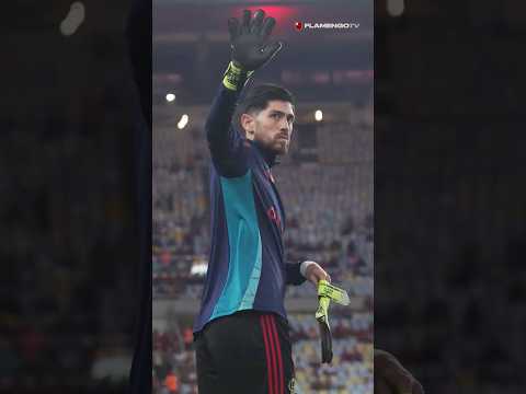 TEM EPISÓDIO NOVO DE POR DENTRO DO NINHO NO AR! 🥅🔴⚫ #flamengo #pordentrodoninho