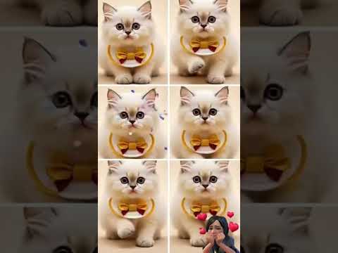 Whisker wiggle mode: ON! #sodapop #djviral #catfunnyvideo #catlove #catreels #cutecat #cat#catshorts