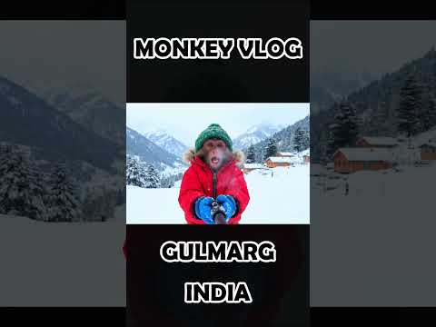 Funny Ai Monkey Vlog #aimonkey #monkey #ai #funnymonkey