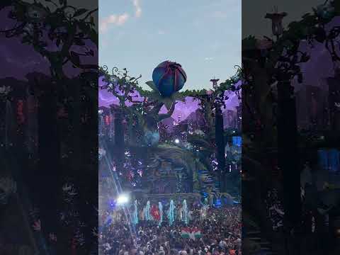 It's almost time for Tomorrowland Belgium 2025.