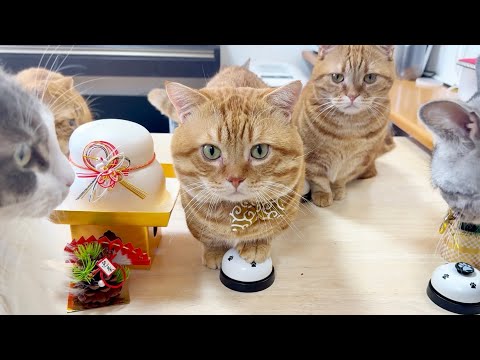 【2026元旦】あけましておめでとうございます❣️