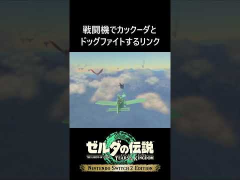 戦闘機でカックーダとドッグファイトするリンク