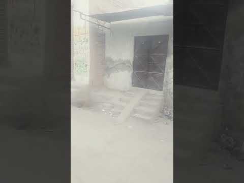 #quranictranslation #quran #bayan #answer #islamicquotes #islamicstoriesinurduandhindi #quranquotes