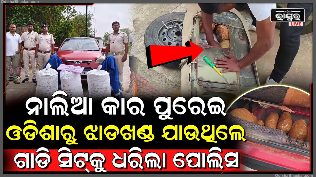 ଟୋଲ ଗେଟ ନିକଟରୁ କାର ସହ ୫୧ କେଜି ଗଞ୍ଜେଇ ଜବତ, ୨ ଗିରଫ । ସ୍ୱତନ୍ତ୍ର ଚ୍ୟାମ୍ବରରେ ଲୁଚାଇ ରଖିଥିଲେ ଗଞ୍ଜେଇ