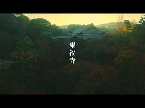【WEB動画】2025年 東福寺（早朝） 秋の特別拝観