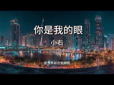 小右   你是我的眼『你是我的眼 带我领略四季的变换 』【高音質 動態歌詞Lyrics】