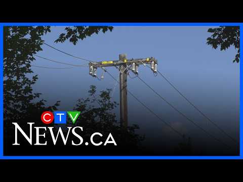 Millions of dollars in upgrades completed to Edmonton's electricity grid
