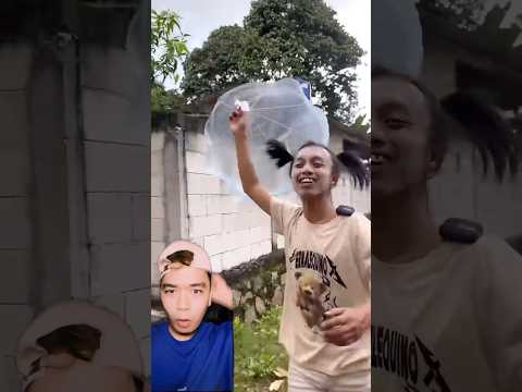 Main terjun patung yang penting menang 😱