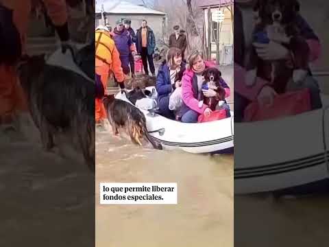 Rusia alerta de la situación crítica en una ciudad de los Urales tras la rotura de una represa