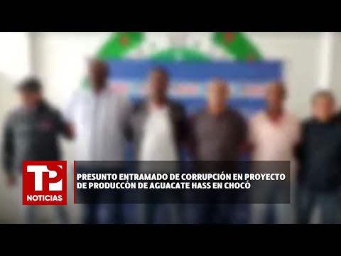 Presunto entramado de corrupción en proyecto de produccón de aguacate Hass en Chocó I21.03.2024I TPN