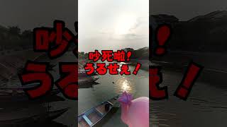 【#vlog 】蝶美的越南一人行(上)面臨人生第一次挑戰...?#shorts  #あおぎり高校 #千代浦蝶美#vtuber中文