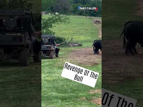 THIS is why you shouldn't mess with a bull...