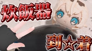 【ごはん】炊飯器到着‼クソデカナス到着‼母襲来‼【風真いろは/ホロライブ】