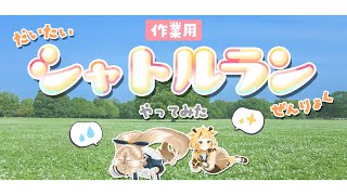 【作業用】全力シャトルラン（っぽいこと）やってみた！