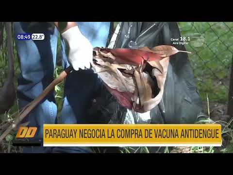 Paraguay negocia la compra de vacuna antidengue