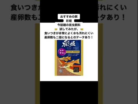 【オススメの餌また紹介します!!】#めだか #めだか飼育 #めだかの楽園 #メダカライフ #メダカ水槽 #メダカ初心者 #メダカ繁殖 #メダカの育て方 #メダカ愛好家 #メダカの世界 #メダカエサ