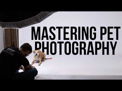 How to Master Pet Photography