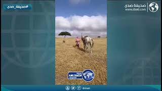 انتبهي من الخيل