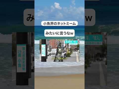 おいしく食べてもらえればOKです😤 #ネットミーム #魚 #小魚
