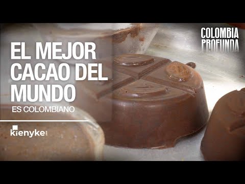 ¡Chocolaterapia con el mejor cacao del mundo! - Colombia Profunda