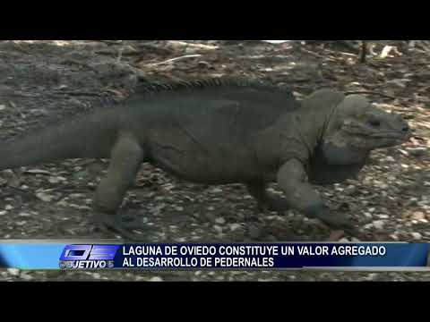 Laguna de Oviedo constituye un valor agregado al desarrollo de pedernales | Objetivo 5