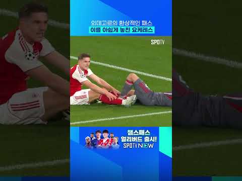 외데고르 패스 궤적 보소 ㄷㄷ 