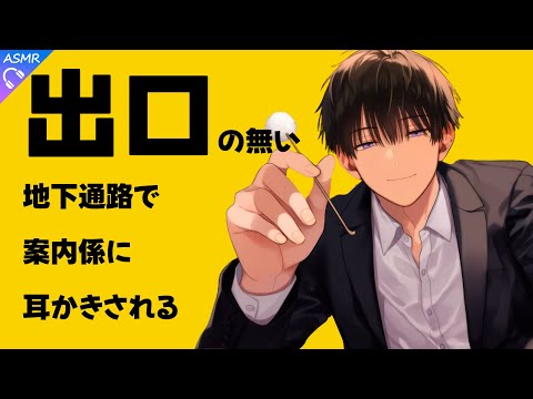 【ASMR】出口の無い駅の地下通路で謎の案内係に耳かきされた話【耳かき/睡眠導入/シチュエーションボイス/バイノーラル/ロールプレイ/#新人vtuber 】