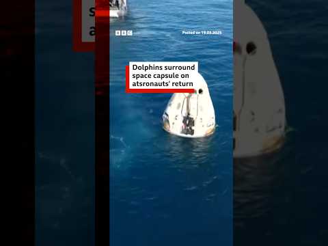 Dolphins surround astronauts' space capsule on return to Earth. #Space #BBCNews